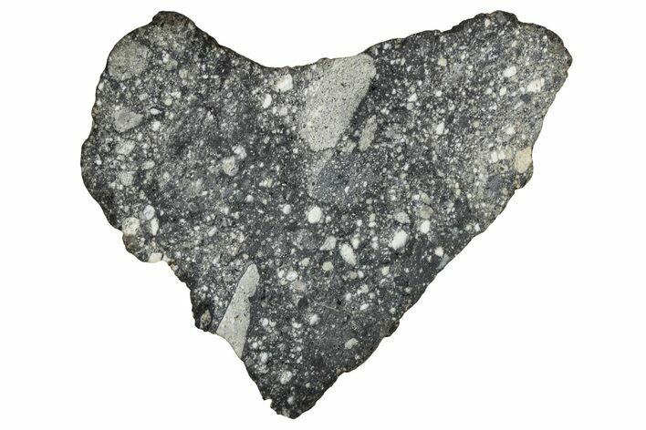 Polished Lunar Meteorite ( g) Slice - Aridal #355988